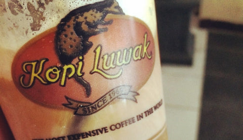Kopi Luwak - Der etwas andere Kaffee!