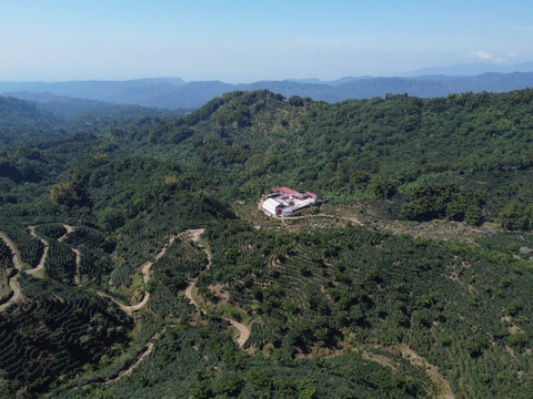 Ethisch und fair aus Mexico